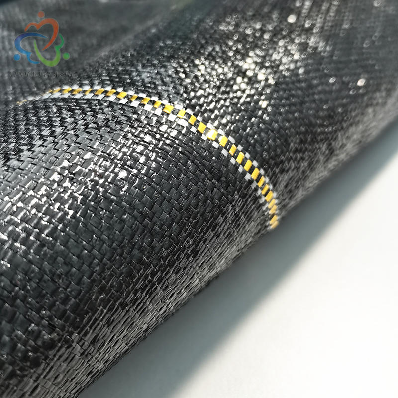 PE Woven Fabric